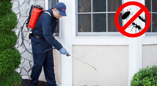 Mithatpaşa Uçan Haşere İlaçlama böcek ilaçlama ve haşere kontrolü — ilaclama-tr.com